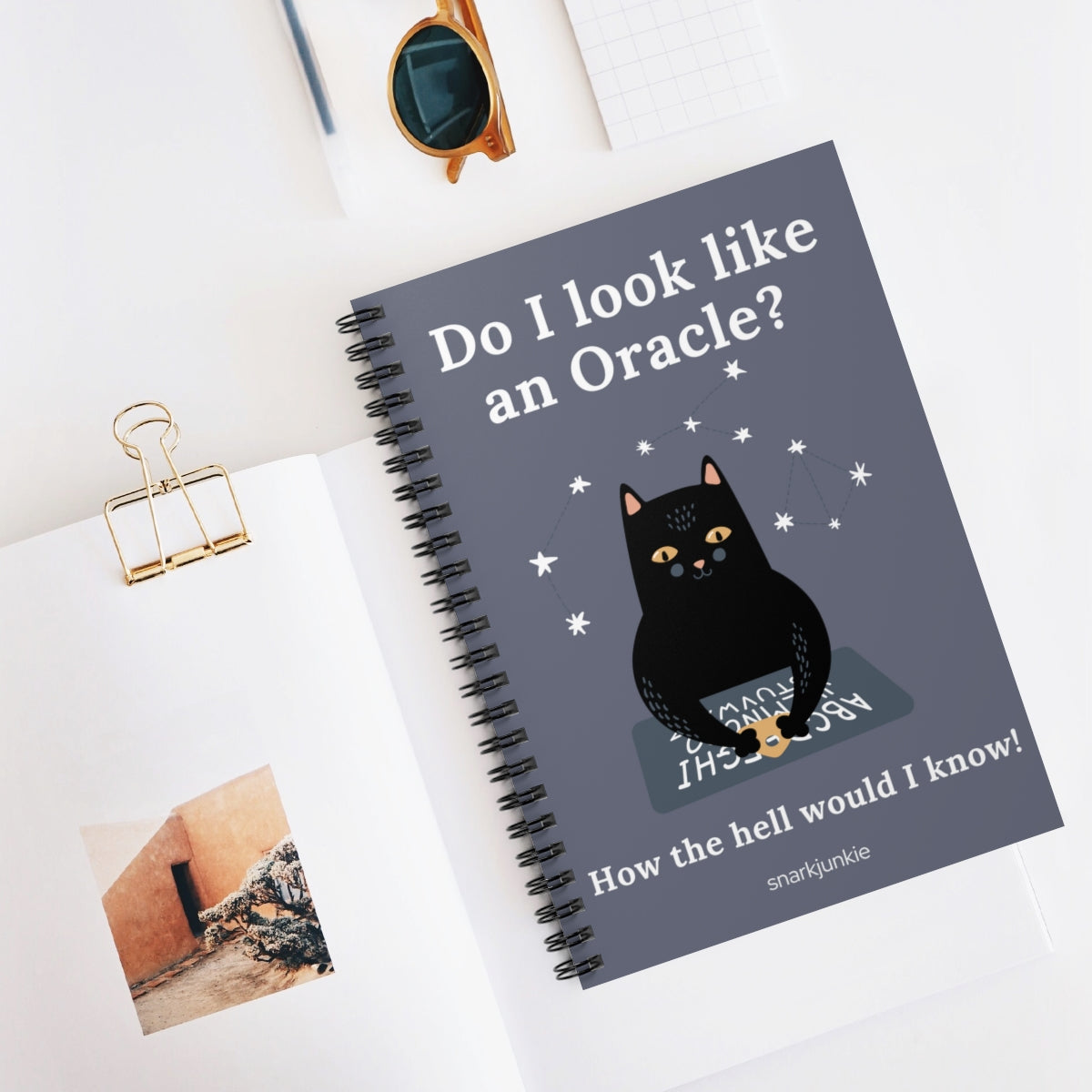 Do I Look Like An Oracle Notebook - Ruled Line